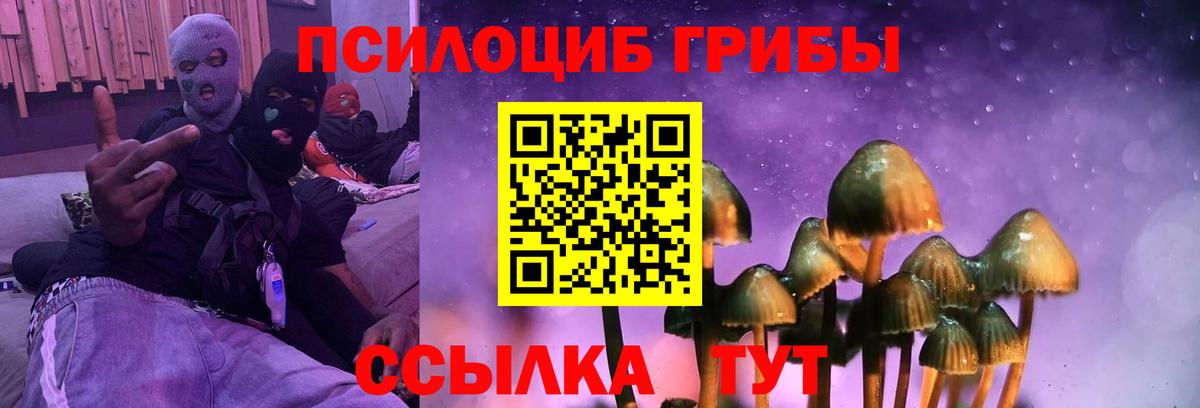 Галлюциногенные грибы Magic Shrooms  Вход с VPN  наркотики  Волжский 